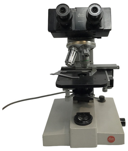 Leitz binocular compound - binocular,