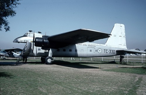 Argentine bristol - af,,