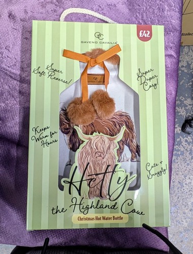 Highland cow hot - highland,