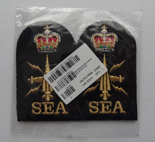 Chief petty officer seaman - chief,