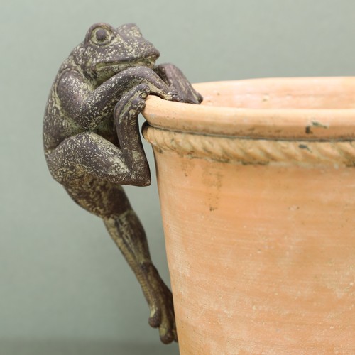 Resin frog plant pot hanger - resin,