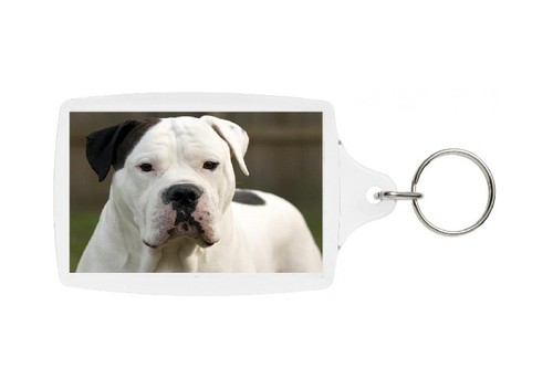 American bulldog keyring - american,