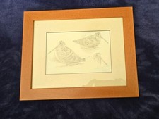John cox woodcock sketch - john,