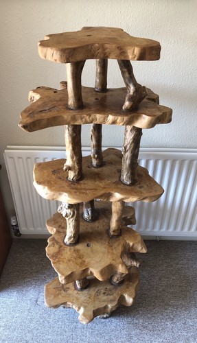Tree root wood - wood, plant