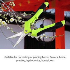 Spring Garden Scissors Garden