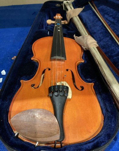 Stentor student pine - stentor,
