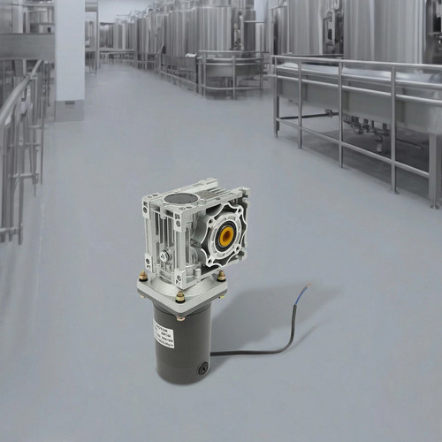 300w 24v worm gear motor - worm,