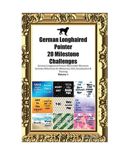 German longhaired pointer - pointer, 20