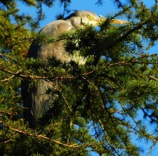 Giclee Print of Photograph of