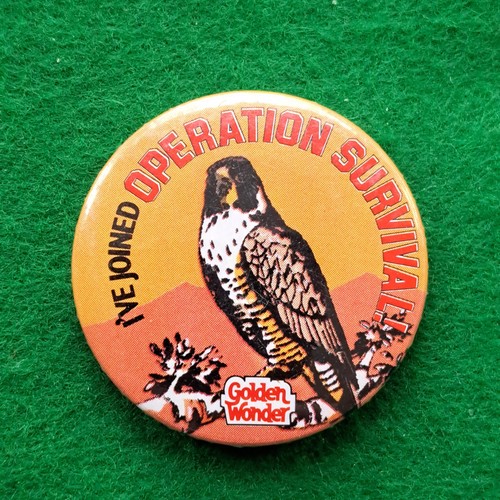 Vintage pin badges - pin,