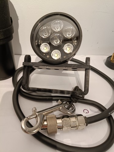Light for nw7 - rca, umbilical