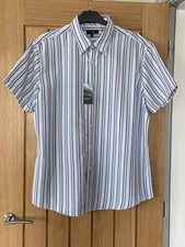 Thomas Nash Debenhams short