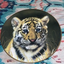 Cubs of the Big Cats TIGER CUB