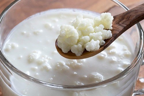10g organic live - live, kefir