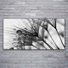 Print on Glass Wall art 120x60