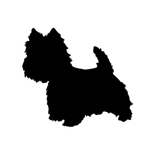 West highland white terrier - highland,