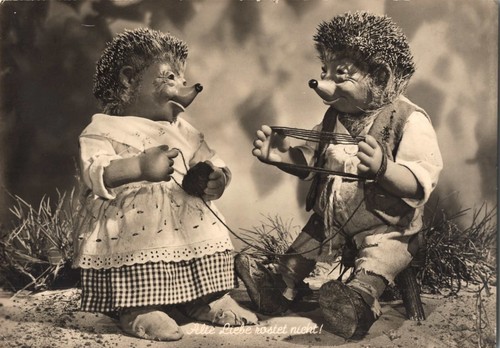 Mecki and micki the - micki, hedgehog