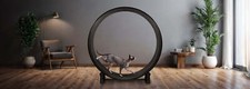 One Fast Cat Exercise Wheel -