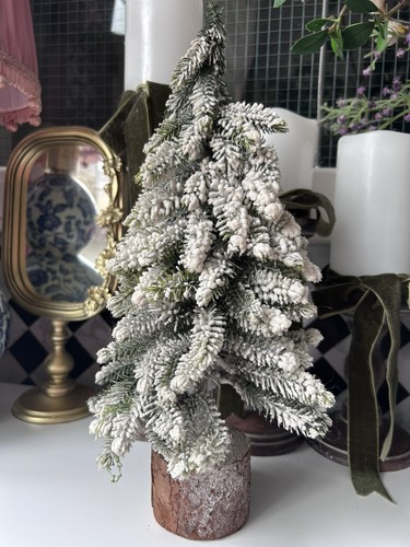 Frosted christmas nordmann - nordmann, fir