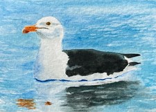 Original Watercolour Great