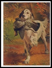 ENGLISH SETTER CARRYING BIRD
