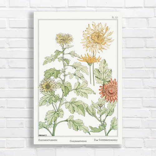Vintage botanical - vintage,