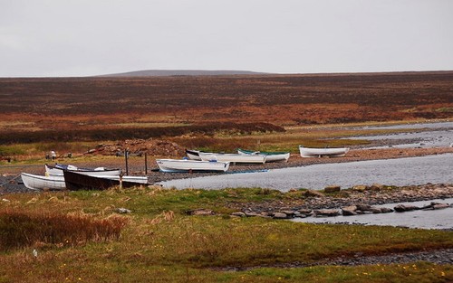 Photo 6x4 trout fishing - 6x4, fleet