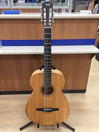 Taylor 12e ltd - taylor, eg-12e-n