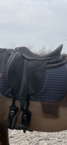 Childeric dressage saddle - childeric,