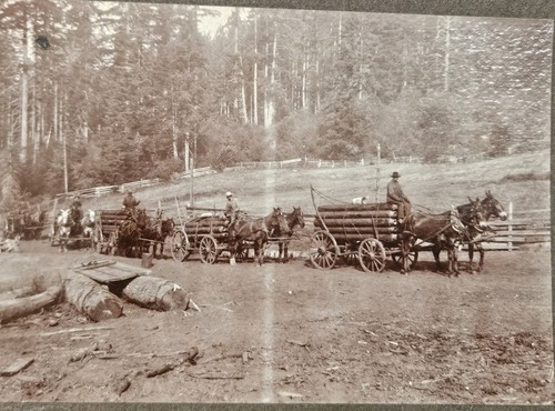 Antique logging camp - logging,