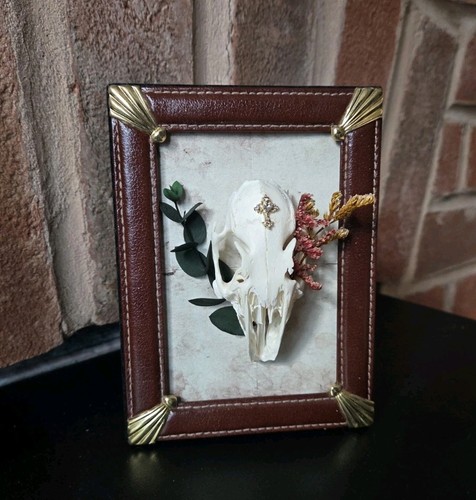 Ethical framed real rabbit - ethical,