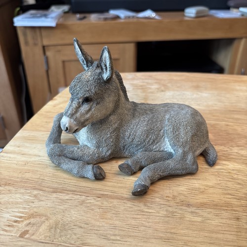 Country artists donkey lying - donkey,
