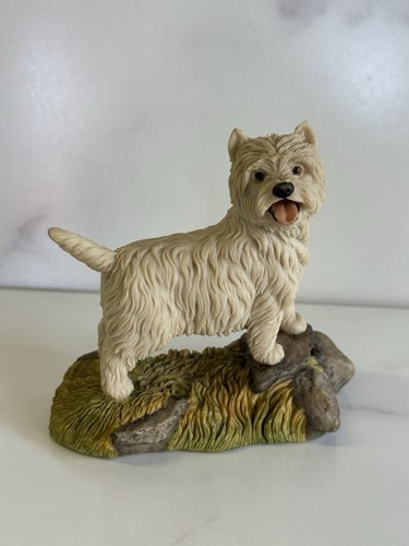 Westie west highland - west, terrier