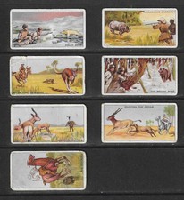 Ardath 1930 BIG GAME HUNTING