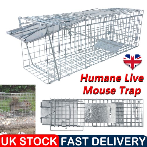 Metal rat mouse - trap, humane