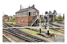 ptc9882 - Bucks - Early view