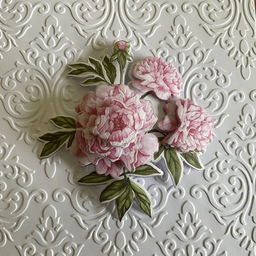 Die cuts pink - cuts, peonies