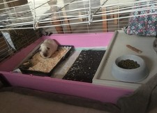 Indoor Guinea Pig and Rabbit Hutch, Mezzanine Eating Level With Bedroom Under