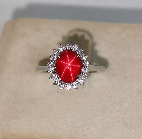 Rays red lindy star ruby - red,
