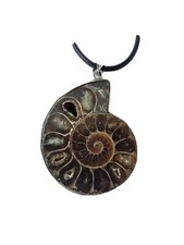 Natural Genuine Ammonite Shell Fossil Mineral Pendant Jewellery Necklace Rock 