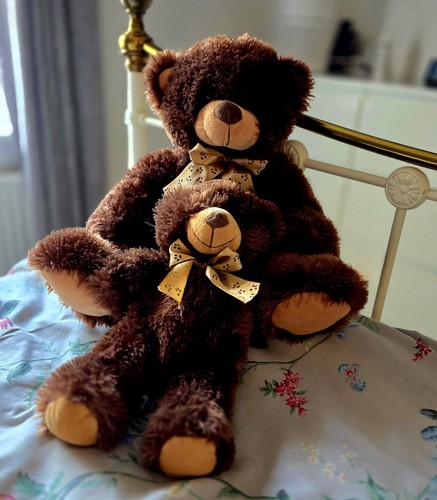 Matching teddy bear pair - bear,
