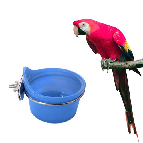 Bird feeder bowl food - bowl, water