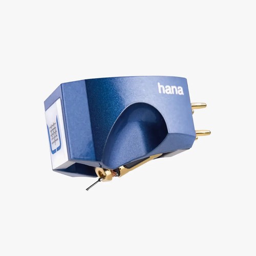 Hana umami blue - moving, coil