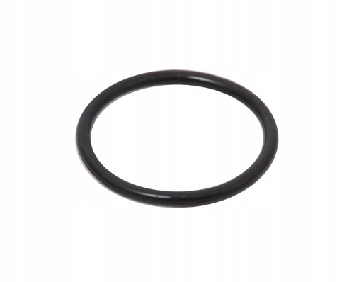 Automatic transmission filter - transmission,