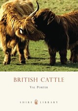 British Cattle (Shire