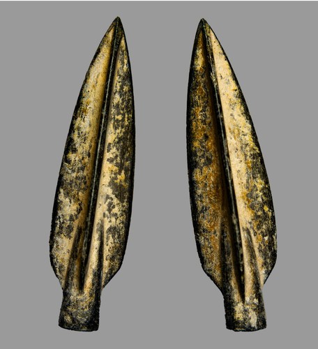 Roman bronze trilobite - bronze,