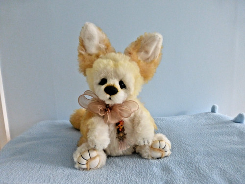 Beautiful jinx the fennec fox - jinx,