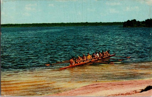 Astatula postcard sculling - fl,