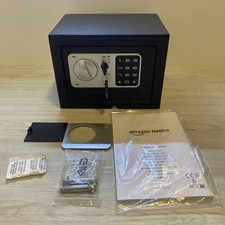 Amazon Basics Steel Security
