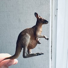 Kangaroo Mother Animal Model